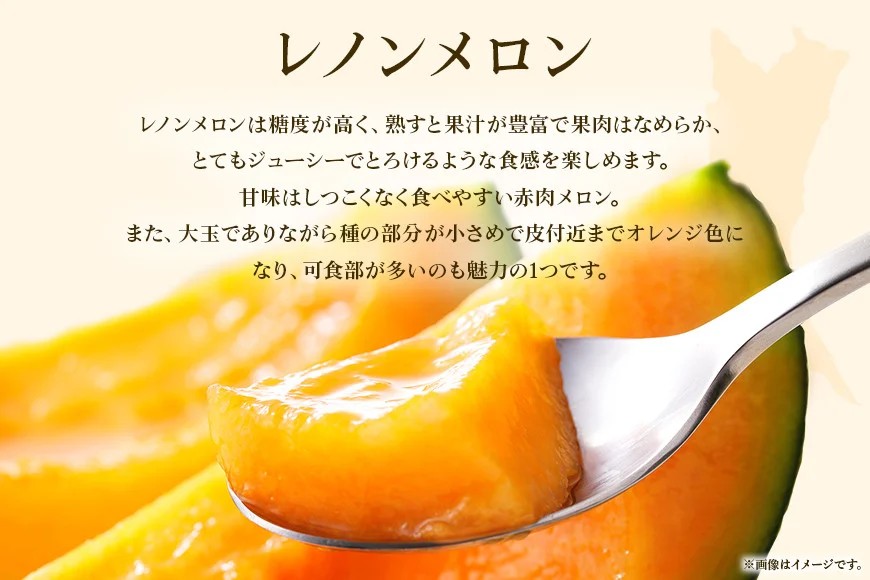 【数量限定・期間限定】 おみたまレノンメロン 赤肉 2玉 メロン 秀品 めろん 果物 フルーツ 茨城県産 52-C 【4月20日まで受付・4月～5月上旬順次発送予定】