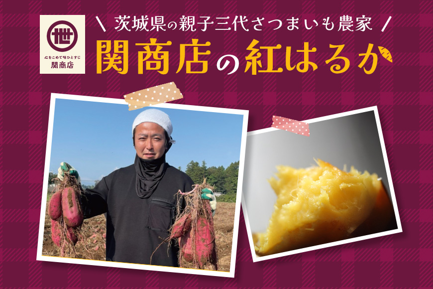 【2026年2月以降順次発送予定】関商店 干し芋平干し 紅はるか 1.1kg（220g×5袋） 62-F