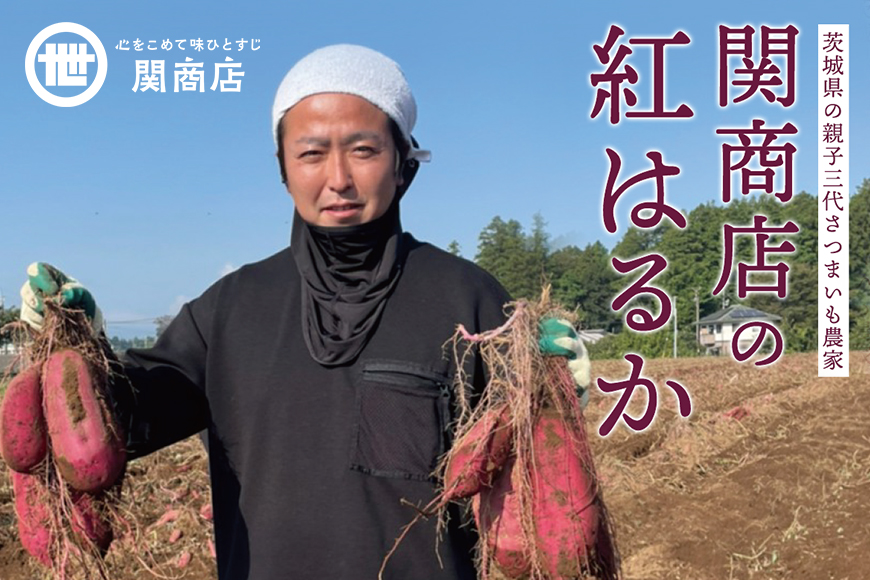 関商店  焼き芋 紅はるか 6kg 62-I ＜2026年4月20日まで受付＞