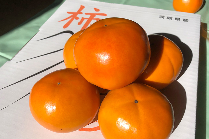 【数量限定・先行予約】 富有柿 L 16玉 《11月13日～12月10日発送予定》 柿 かき カキ 果物 くだもの フルーツ (茨城県共通返礼品 石岡市) 67-A