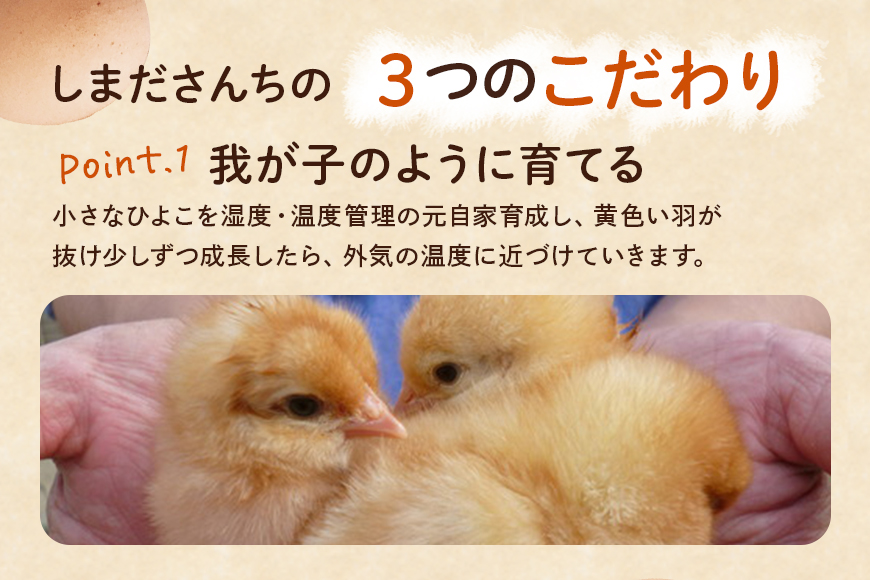しまださんちのたまご 30個 (27個＋割れ補償3個) 鶏卵 卵 たまご タマゴ 玉子 こだわり 安心 安全 無着色 非遺伝子組換 健康 美容 ご飯 ごはん 68-A
