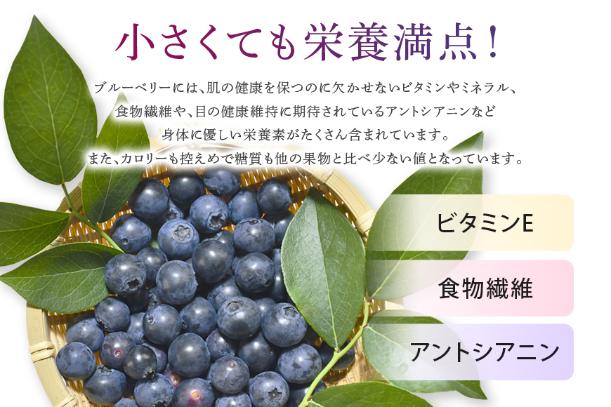 《数量限定・期間限定》 【アイの玉】毎日！朝摘み生ブルーベリー(2L) 73-A 【2026年6月15日より順次発送予定・7月31日に受付終了】