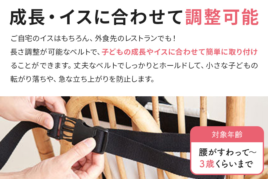 キャリフリー チェアベルトホールドplus（ブラック） 74-N