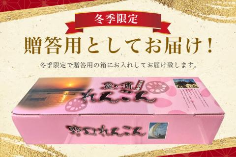 【 冬季限定 贈答用 】 野口誠の蓮根 約4kg れんこん レンコン 蓮根 野菜 国産 期間限定 57-B