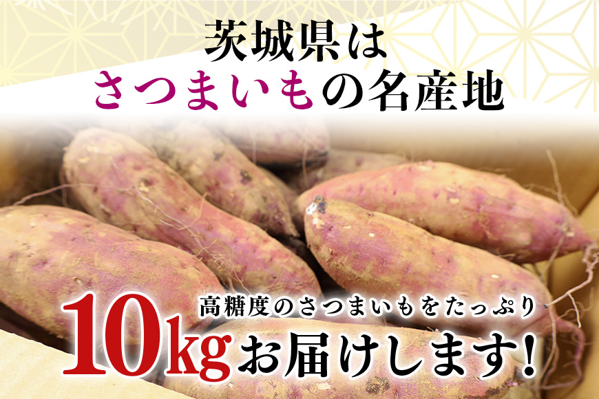 干し芋屋のさつまいも（紅はるか） 10kg サツマイモ さつま芋 生芋 べにはるか ベニハルカ 国産 茨城県産 12-S