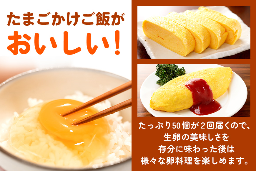 【定期便】鶏卵 （ギフト用化粧箱50ヶ（45＋補償5）入り ×2回発送） 15-D