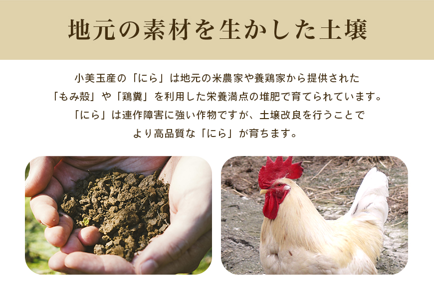 【数量限定・期間限定】小美玉市産にら 100g×10 にら ニラ 生 香味 野菜 料理 惣菜 おかず 1kg 茨城 国産 17-AA ＜5月～11月発送予定＞