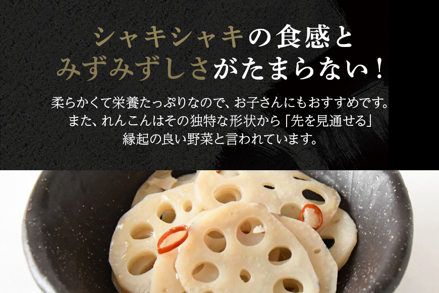 【数量限定・先行予約】縁起物野菜「れんこん」 約4kg れんこん レンコン 蓮根 茨城 国産 お正月 おせち 野菜 17-M ＜11月中旬～12月上旬発送予定＞