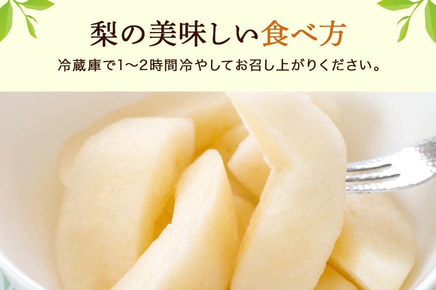 【数量限定 / 夏季限定】梨（秋月）約5kg 梨 なし ナシ 日本梨 あきづき アキヅキ 17-X 【9月上旬〜中旬発送予定】