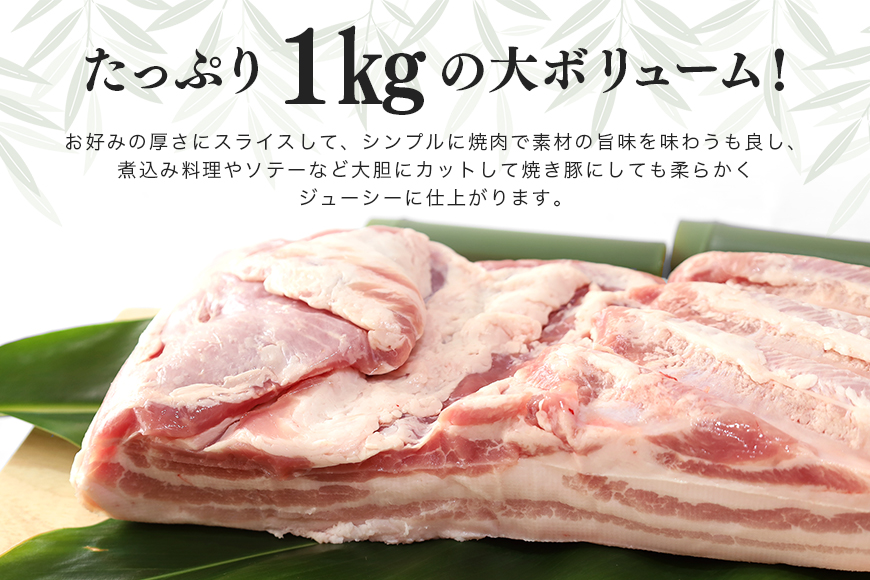 ブランド豚「ばんぶぅ」豚バラブロック 1kg 42-C