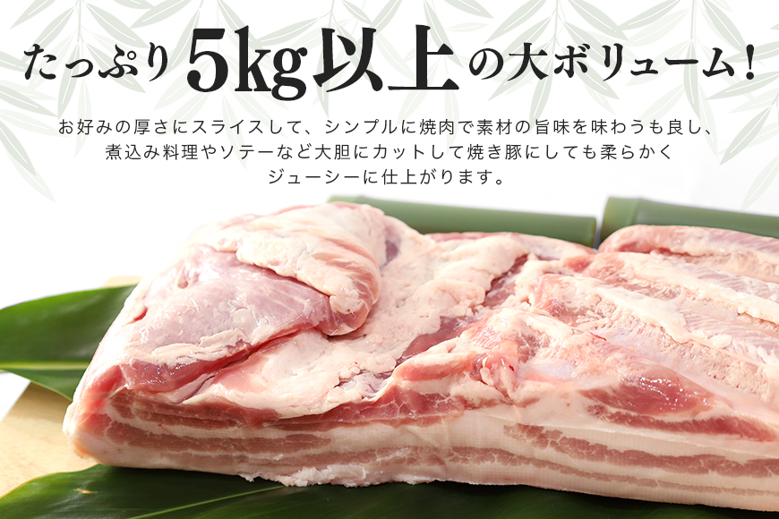 ブランド豚「ばんぶぅ」豚バラブロック 1本 42-D
