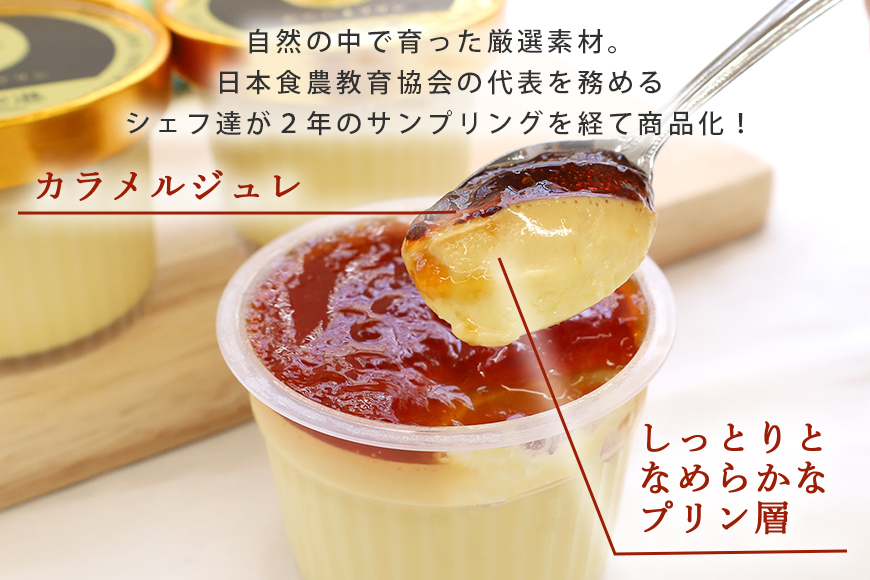 おみたまプリン3種詰合せ 5個入り カラメル＆ミルク＆栗 白箱 8-U