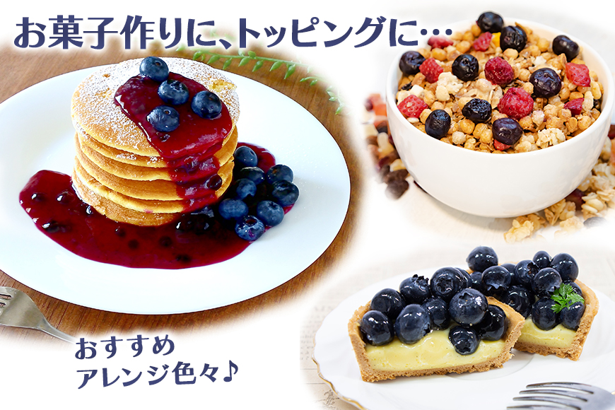 冷凍ブルーベリー 1kg 【6月下旬から順次発送予定】 9-I