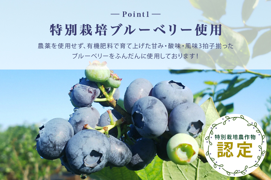 ブルーベリージャム6個 9-M