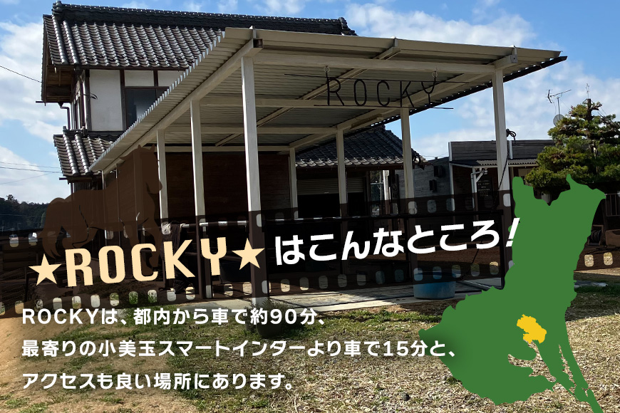 ★ROCKY★ 乗馬体験チケット 30分 体験 チケット 券 乗馬 馬 うま ウマ 子供 大人 初心者 経験者 歓迎 92-B