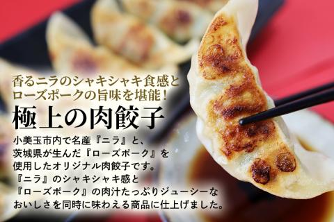【数量限定】 ニラたっぷり肉餃子・俺達のれんこんまん 各2袋 17-Z