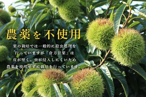 倉方甘栗の焼き栗 450g 10月中旬～12月末発送 無農薬 栗 和栗 くり 焼栗 自然 倉方 甘栗 果物 フルーツ 日本 国産 茨城 茨城県産 秋 冬 55-A