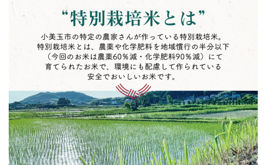 令和5年産 特別栽培コシヒカリ 5kg（12回発送） 22-D