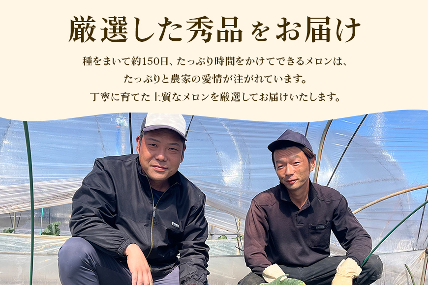 【数量限定・期間限定】 おみたまレノンメロン 赤肉 約5kg 4玉～6玉 メロン 秀品 めろん 果物 フルーツ 茨城県産 52-B 【4月20日まで受付・4月～5月上旬順次発送予定】