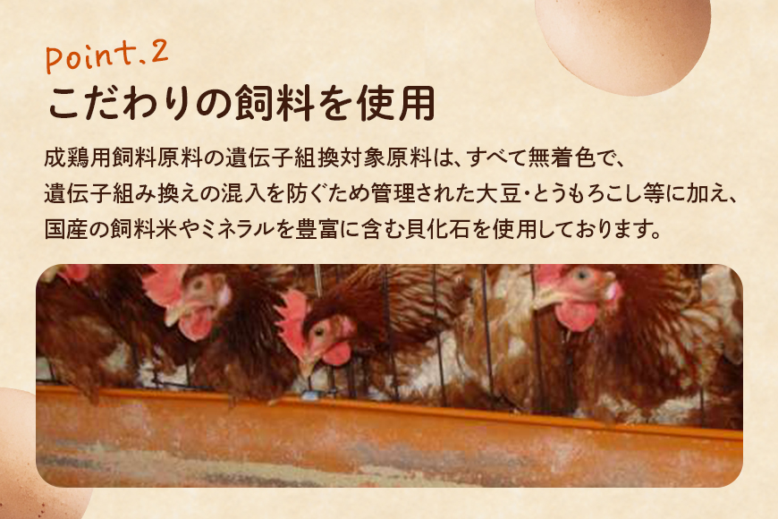 しまださんちのたまご 30個 (27個＋割れ補償3個) 鶏卵 卵 たまご タマゴ 玉子 こだわり 安心 安全 無着色 非遺伝子組換 健康 美容 ご飯 ごはん 68-A