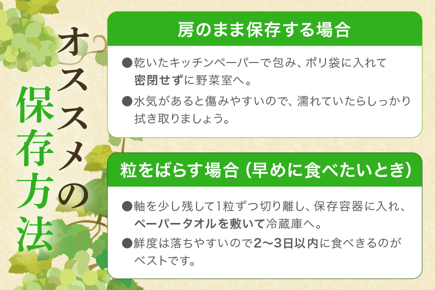 ＜2025年 先行予約＞ シャインマスカット 数量限定 1kg 農園直送 期間限定 果物 フルーツ ブドウ 葡萄 ぶどう 8月下旬以降発送 冷蔵 小美玉市 70-I