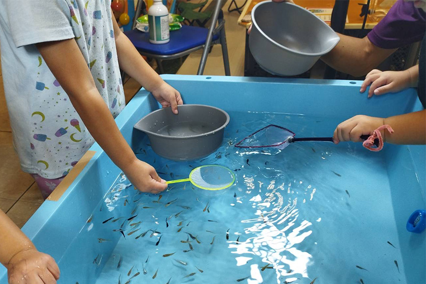 メダカ用 タモ網（細）83-B