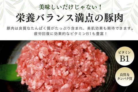 ブランド豚「ばんぶぅ」ミンチ 1.0kg(500g×2パック) 42-AQ