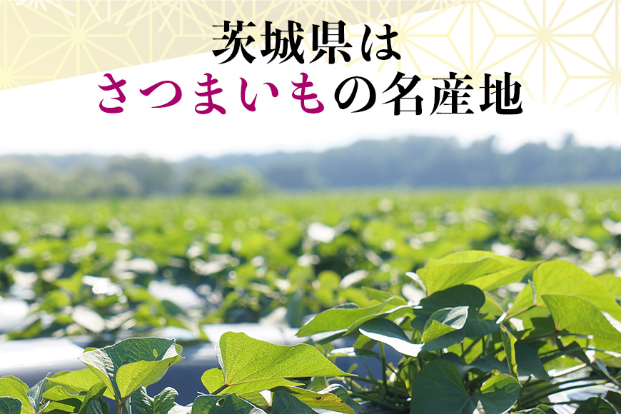 さつまいも 紅はるか 規格外品 5kg サツマイモ さつま芋 生芋 べにはるか 訳あり 国産 茨城県産 箱 直送 やきいも 焼いも 焼き芋 焼芋 おやつ スイーツ作り ケーキ作り スイートポテト 大学芋 大学いも 12-AW