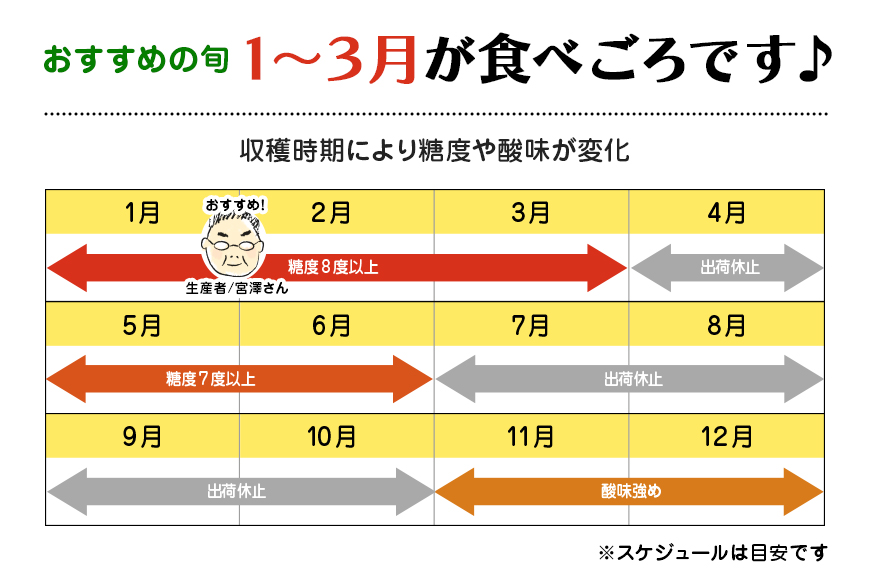 【数量限定 先行予約】＜2026年1月出荷開始予定＞ 爆音トマトと呼ばれるフルーツトマト「百里百」 2kg 13-E