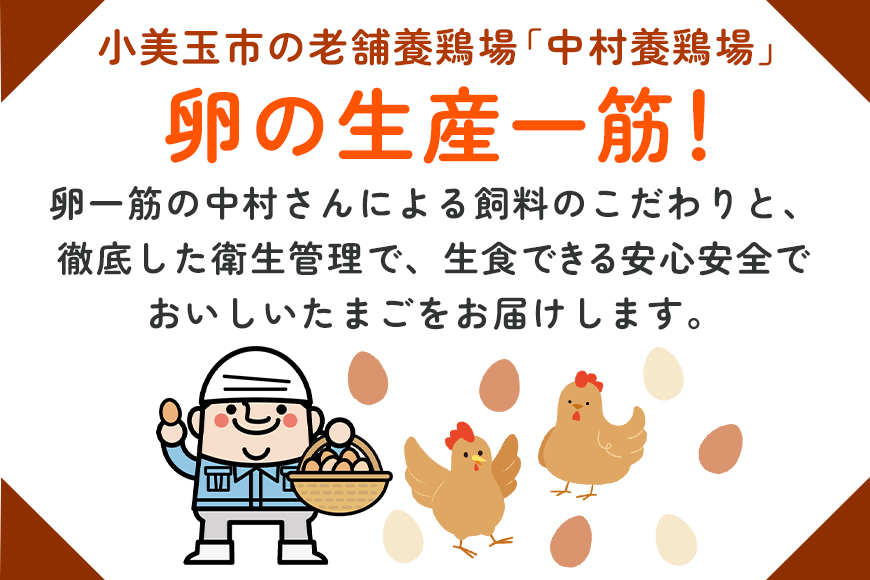 【定期便】鶏卵 （ギフト用化粧箱50ヶ（45＋補償5）入り ×2回発送） 15-D