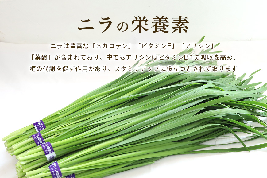 【数量限定・期間限定】小美玉市産にら 100g×10 にら ニラ 生 香味 野菜 料理 惣菜 おかず 1kg 茨城 国産 17-AA ＜5月～11月発送予定＞