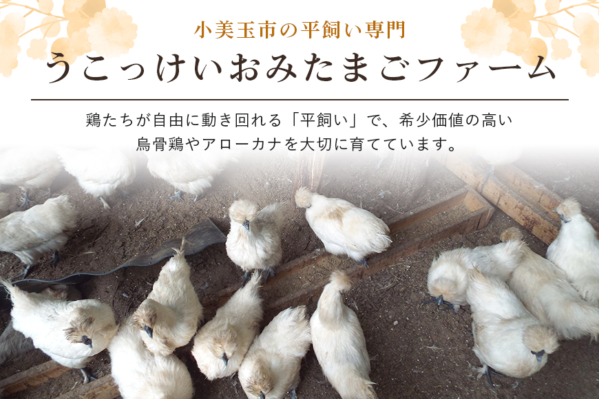 平飼い極上のうこっけいの卵 24個（20＋補償4個） 37-A