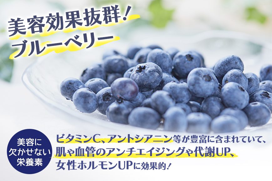 果汁50％ブルーベリー飲料1本＆ブルーべリ－ジャム2個セット 9-K
