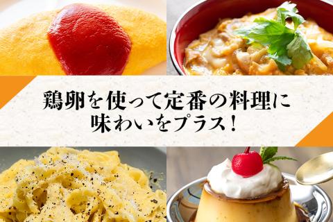 鶏卵60個（55個＋補償5個）入り化粧箱 【6ヶ月定期便】 16-D