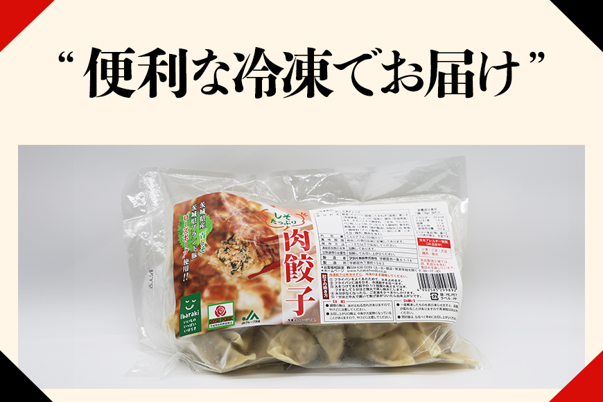 【数量限定】 しそたっぷり肉餃子 2袋 17-AN