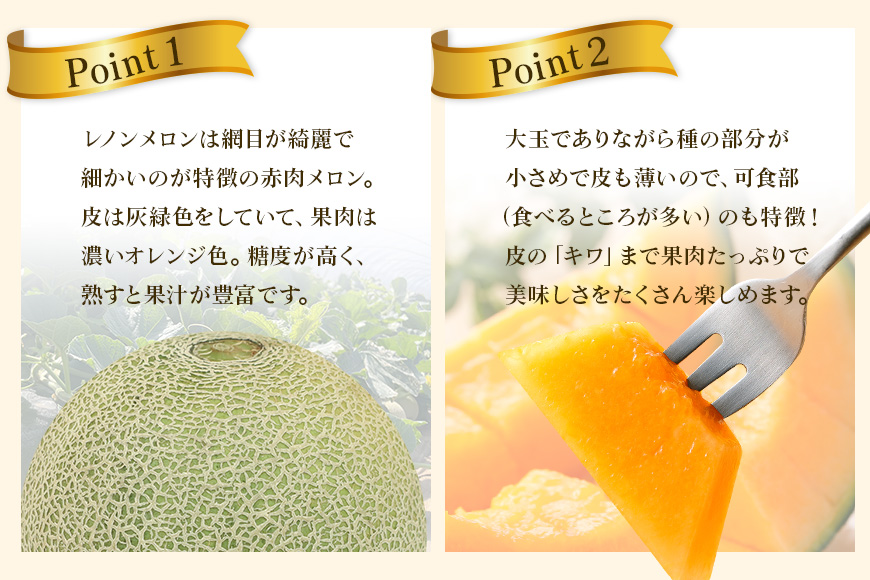 【数量限定・期間限定】 おみたまレノンメロン 赤肉 約5kg 4玉～6玉 メロン 秀品 めろん 果物 フルーツ 茨城県産 52-B 【4月20日まで受付・4月～5月上旬順次発送予定】