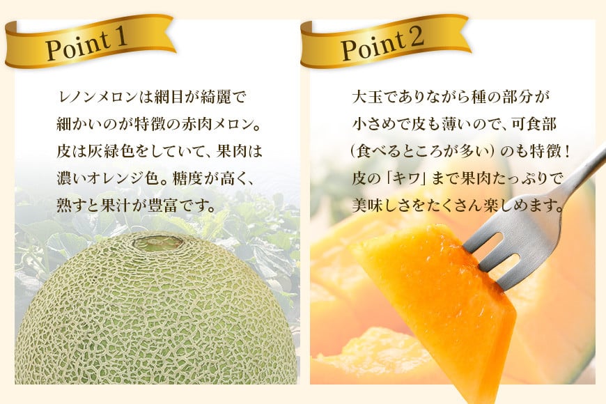 【数量限定・期間限定】 おみたまレノンメロン 赤肉 2玉 メロン 秀品 めろん 果物 フルーツ 茨城県産 52-C 【4月20日まで受付・4月～5月上旬順次発送予定】