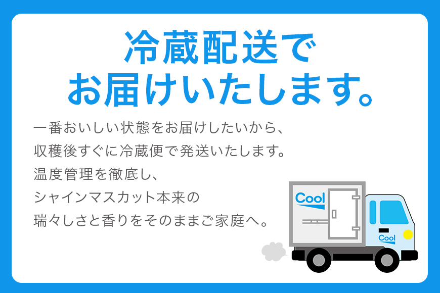 ＜2025年 先行予約＞ シャインマスカット 数量限定 2kg 農園直送 期間限定 果物 フルーツ ブドウ 葡萄 ぶどう 8月下旬以降発送 冷蔵 小美玉市 70-J