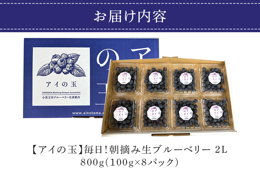 《数量限定・期間限定》 【アイの玉】毎日！朝摘み生ブルーベリー(2L) 73-A 【2026年6月15日より順次発送予定・7月31日に受付終了】
