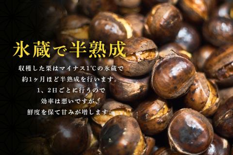 倉方甘栗の焼き栗 900g 10月中旬～12月末発送 無農薬 栗 和栗 くり 焼栗 自然 倉方 甘栗 果物 フルーツ 日本 国産 茨城 茨城県産 秋 冬 55-B