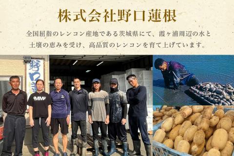 【 冬季限定 贈答用 】 野口誠の蓮根 約4kg れんこん レンコン 蓮根 野菜 国産 期間限定 57-B