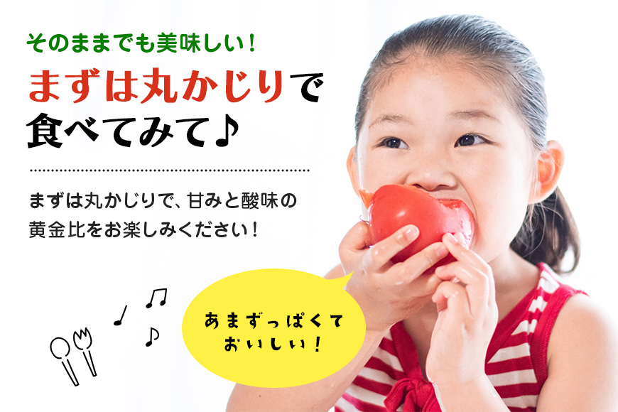【数量限定 先行予約】＜2026年1月出荷開始予定＞ 爆音トマトと呼ばれるフルーツトマト「百里百」 2kg 13-E