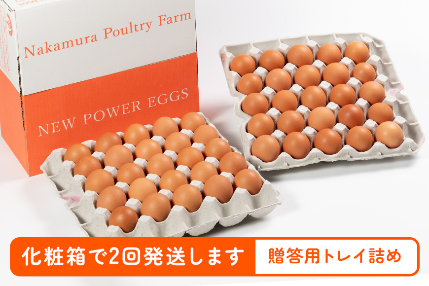 【定期便】鶏卵 （ギフト用化粧箱50ヶ（45＋補償5）入り ×2回発送） 15-D
