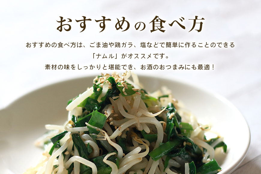 【数量限定・期間限定】小美玉市産にら 100g×10 にら ニラ 生 香味 野菜 料理 惣菜 おかず 1kg 茨城 国産 17-AA ＜5月～11月発送予定＞