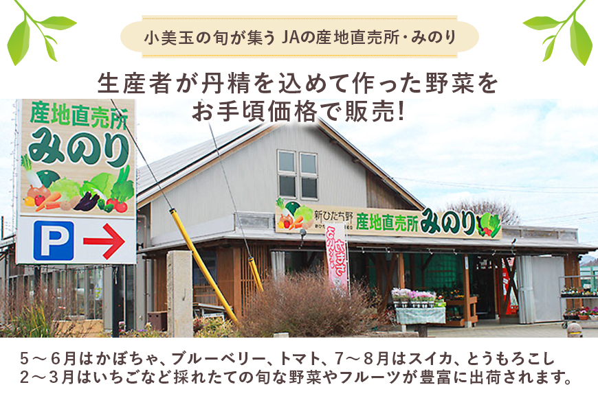 【数量限定 / 夏季限定】梨（豊水） 約5kg なし ナシ 日本梨 ほうすい ホウスイ 17-D 【8月下旬～9月上旬発送予定】