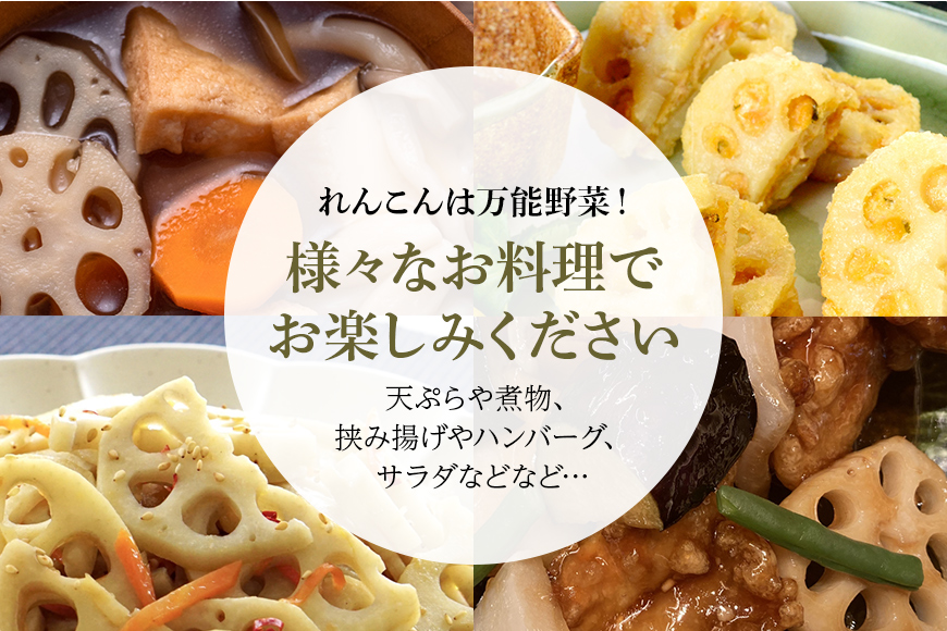 【数量限定・先行予約】縁起物野菜「れんこん」 約4kg れんこん レンコン 蓮根 茨城 国産 お正月 おせち 野菜 17-M ＜11月中旬～12月上旬発送予定＞