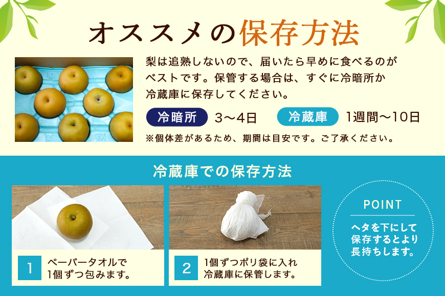 【数量限定 / 夏季限定】梨（秋月）約5kg 梨 なし ナシ 日本梨 あきづき アキヅキ 17-X 【9月上旬〜中旬発送予定】