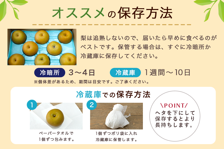 【数量限定 / 夏季限定】梨（新高）約5kg 梨 なし ナシ 日本梨 にいたか ニイタカ 17-Y 【9月中旬～下旬発送予定】