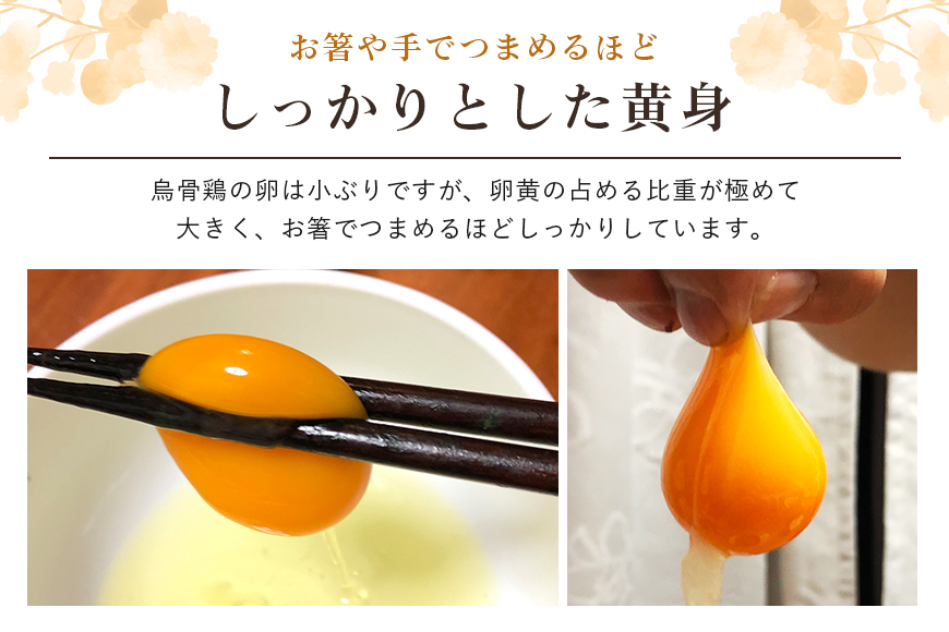 平飼い極上のうこっけいの卵 24個（20＋補償4個）×定期便12回 37-C