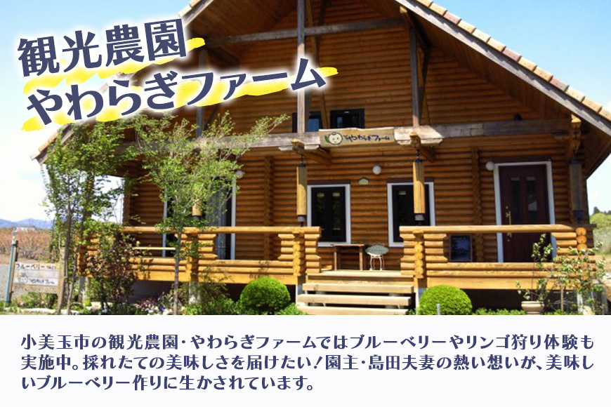 果汁50％ブルーベリー飲料2本セット 9-L